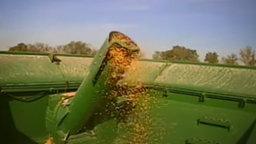 John Deere Combine Hopper Corn Harvest